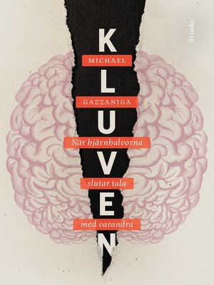 cover image of Kluven